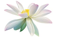 Vores nye hjemmeside er lavet af Tangora Software